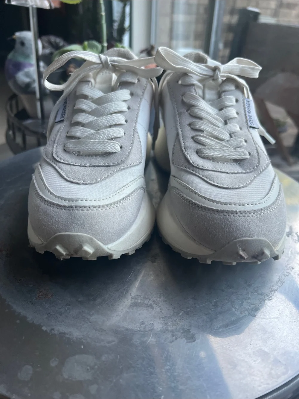 Steve Madden Diversion sneaker